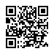 DesktopOK图标布局v11.44绿色版-趣奇资源网-第13张图片