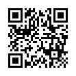 mGBA模拟器v0.10.4便携版-趣奇资源网-第13张图片