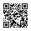 图标编辑工具IcoFX v3.9.0便携版-趣奇资源网-第13张图片